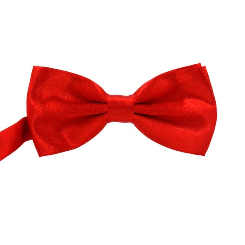 Casual Adult Polyester Silk Multicolor Bow Tie
