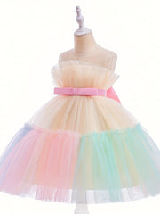 Girls' Mesh Ball Gown Princess Dress