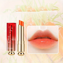 Moisturizing Long-Lasting Lipstick for Daily Lip Care