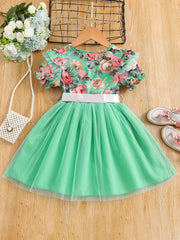 Toddler Girls Floral Princess Dress with Ruffle Trim and Belt