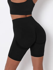Seamless Knitted High Waisted Yoga Shorts Quick Dry Sports Fitness