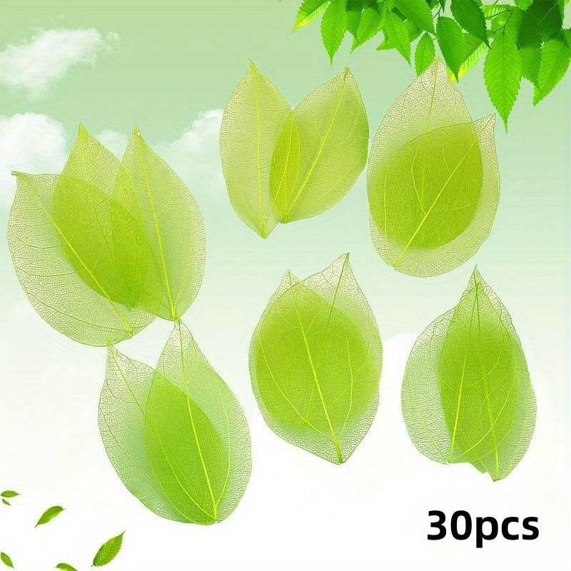 30pcs Leaf Vein Embossing Phone Case Adhesive Dry Flower DIY Set