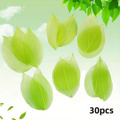 30pcs Leaf Vein Embossing Phone Case Adhesive Dry Flower DIY Set