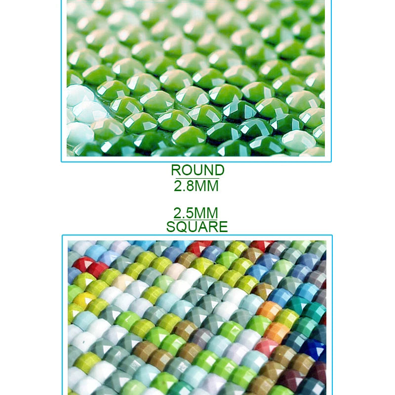 img_7427711