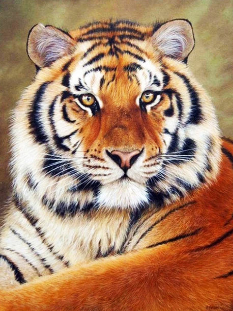 img_7428184