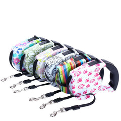 img_5036843