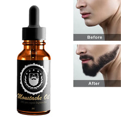 img_375620