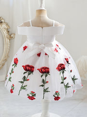 Girls Off Shoulder Princess Dress Flowers Embroidery Bow Mesh Dress