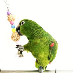 5pcs Bird Toys Set Parrot Biting Toy Parrot Cage Swing Accessories