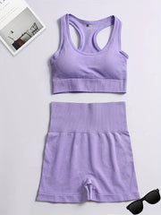 2 Pcs Yoga Set Sports Bra & Shorts Seamless Fitness Activewear