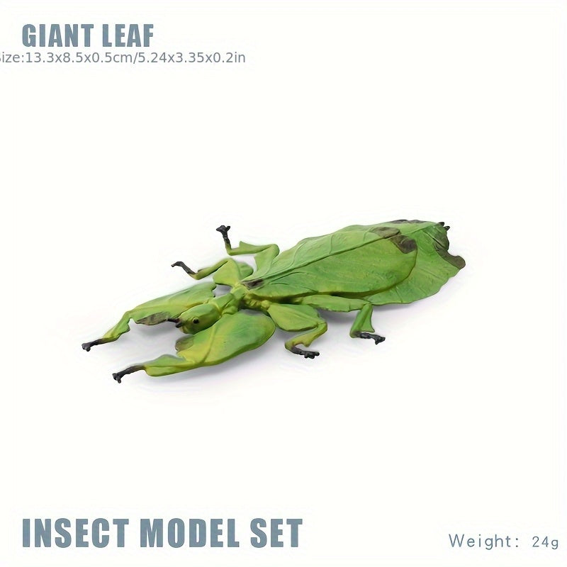 Insect Animal Models Educational Toys
