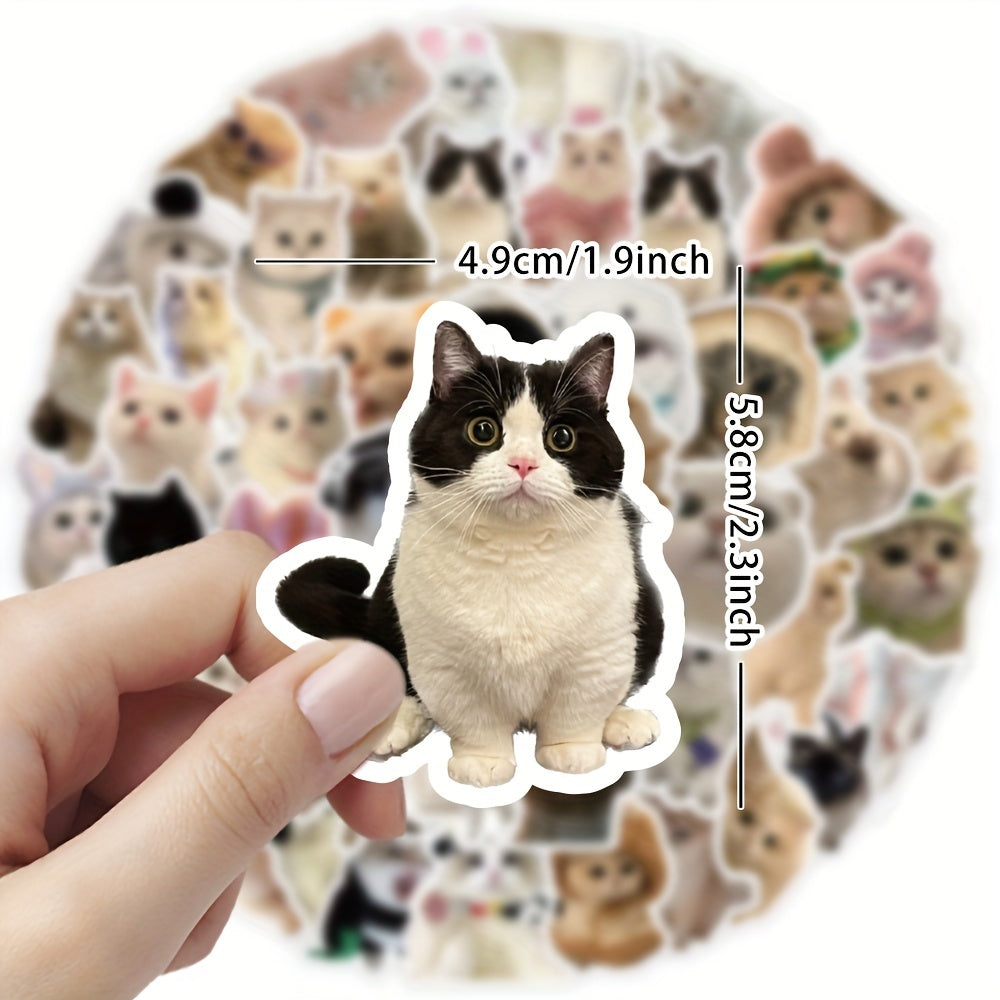 60pcs Cat Waterproof Vinyl Stickers For Water Bottle Stationery Luggage