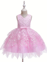 Baby Princess Dress for Parties, Weddings & More