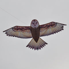 Lifelike Owl Kite Easy to Fly & Assemble Outdoor Fun Games Mini Bag