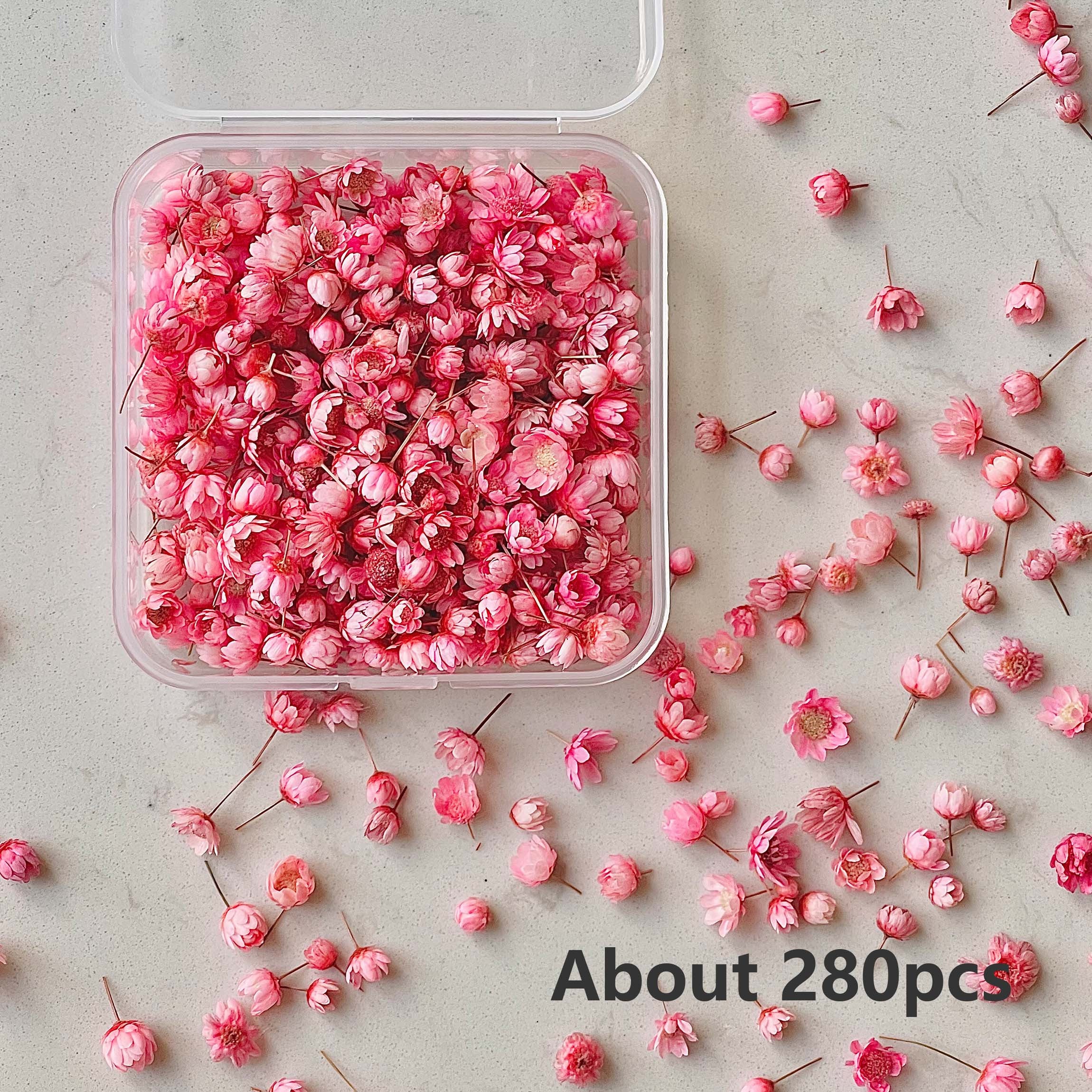 280pcs Small Star Flowers Dried Pressed Flowers Bulk For Resin DIY Garland