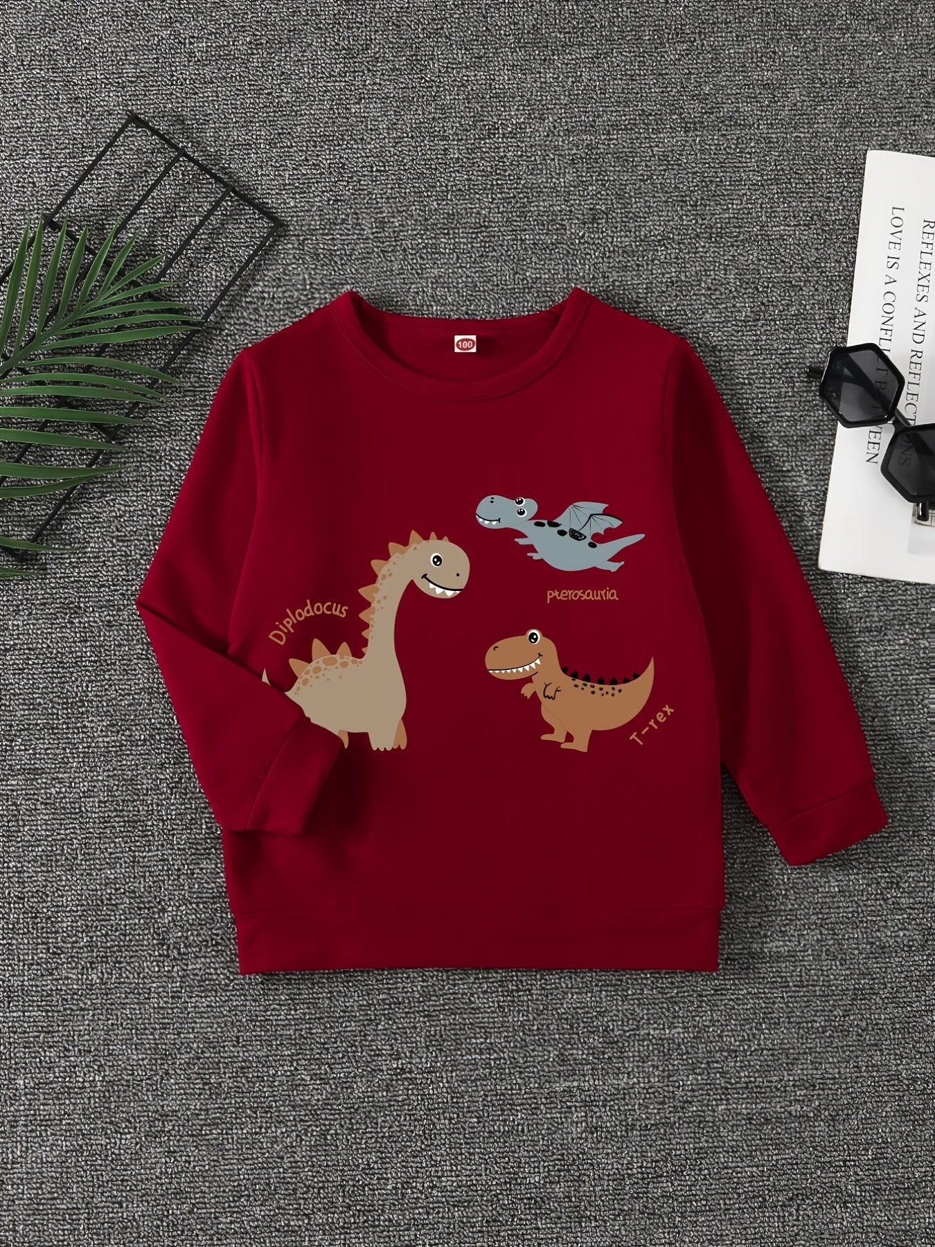 Dinosaur Print Boys Sweatshirt Long Sleeve Crew Neck Tops Kids Clothing