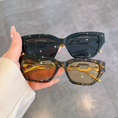 Cat Eye Sunglasses Metal Chain Charm Glasses UV400