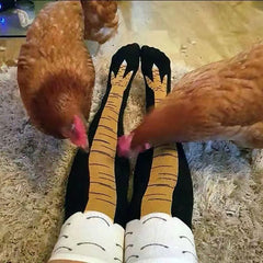 Chicken Leg Socks Crazy Fun Novelty Drumstick Printed Sock