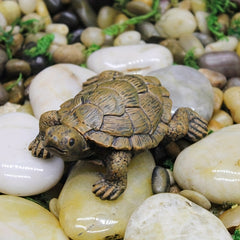 Small Turtle Ornament for Gardening Landscaping and Flower Pot Decoration