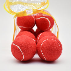 12pcs Portable Durable Tennis Rubber Ball for Beginners Red