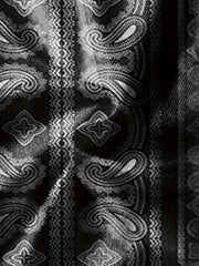 Paisley Pattern Men's 2 Piece T-shirt and Shorts Set