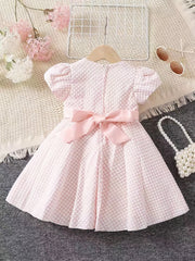 Flutter Sleeve Zip Up Belted Puffy Dress Toddler Baby Girls