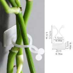 10pcs Plant Climbing Wall Rack 3 in 1 Plant Hanging Rack