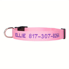 Custom Dog Collar with Name & Number