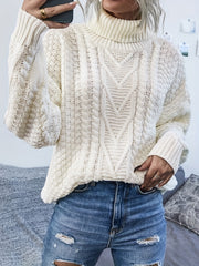 Solid Turtle Neck Pullover Sweater Long Sleeve Casual Winter Women's Clothing