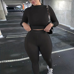 Long Sleeve High Neck Crop Top & Pants Two Piece Set