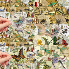 50pcs Retro Insect Specimen Series Graffiti Stickers Waterproof DIY Sticker Pack