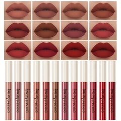 Long Lasting Matte Liquid Lipstick, Waterproof Formula