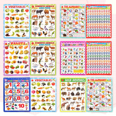 Educational Poster Charts for Kids Alphabet Fruits Vegetables Domestic & Wild An