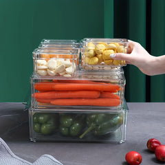10pcs Food Crisps Refrigerator Storage Plastic Lunch Box
