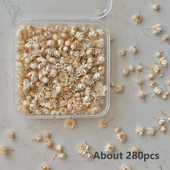 280pcs Small Star Flowers Dried Pressed Flowers Bulk For Resin DIY Garland