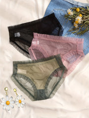 3 Pack Plus Size Sexy Panties Set Women's Plus Mesh Floral Trim Underwear