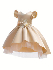 Toddler Girls Ruffle Trim Princess Dress Gown Three dimensional Flowers Embroide