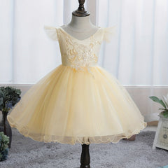 Baby Girls Floral Embroidery Mesh Gown Dress For Party Gift