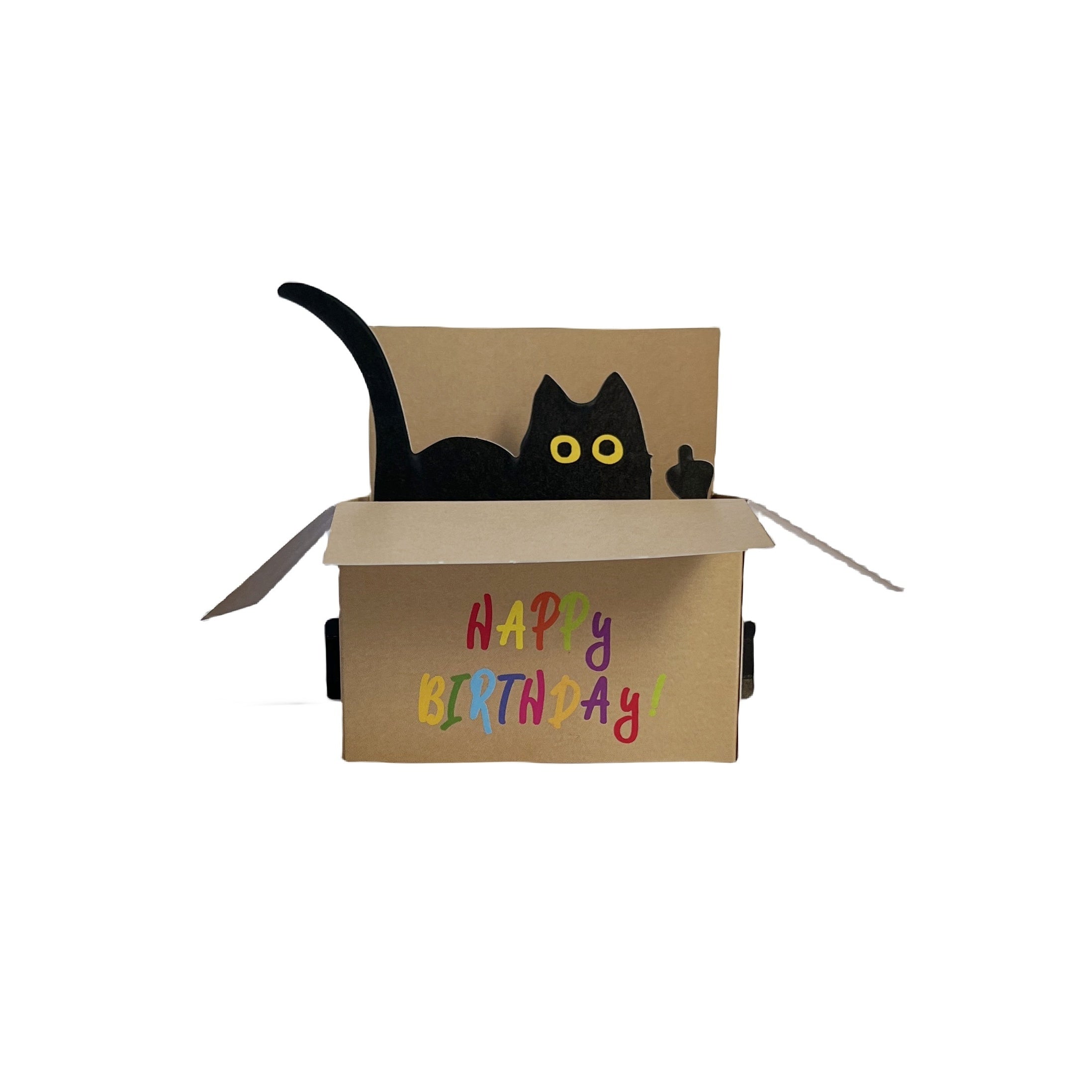 Funny Cat Pop Up Birthday Card with Envelop - Birthday Gift
