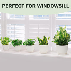 5 Plastic Planters w/ Tray 17.78cm Flower Pot Indoor Outdoor Decor