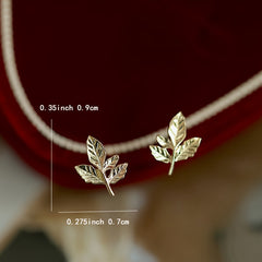 img_5671475