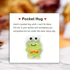 Pocket Hug Resin Animal Decoration with Encouraging Greeting Card