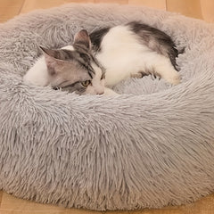 Cozy Round Pet Bed with Warming Mat & Removable Pillow