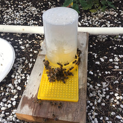 2pcs Bee Water Feeder Beehive Water Station Honey Beehive Water Dispenser