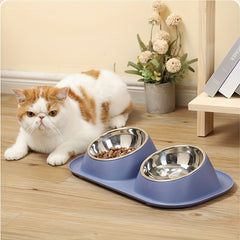 Stainless Steel Pet Bowls with No Spill Mat for Dogs and Cats