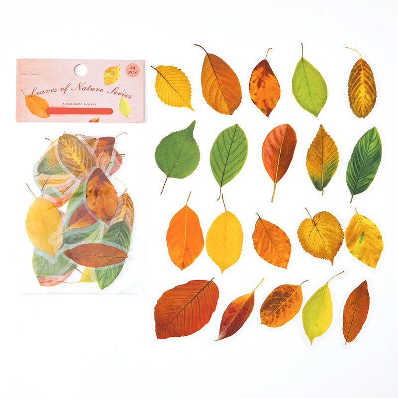 Plant Leaf Stickers Pack Of 40 DIY Decorative Art PET Material Nature Series