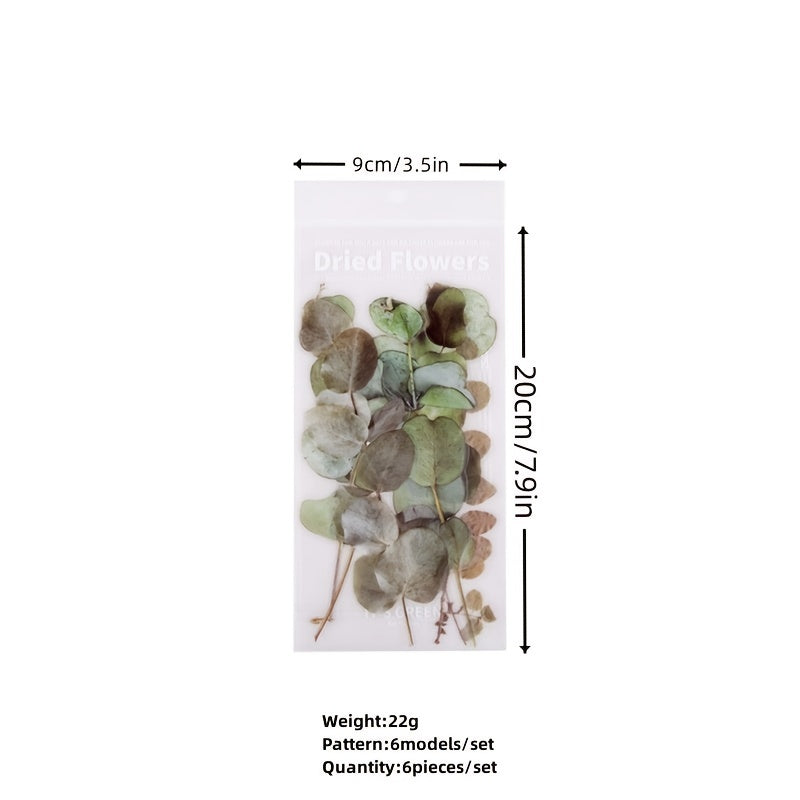 6-pc Special Shaped Flower & Plant Stickers Set