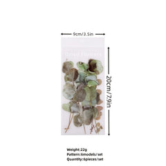6-pc Special Shaped Flower & Plant Stickers Set