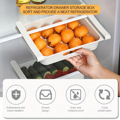 12 grid Refrigerator Storage Box Pull out Type Egg Box