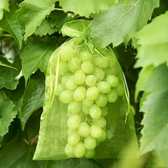 Fruit Protection Net Bags, 30/50pcs, Bird & Insect Prevention